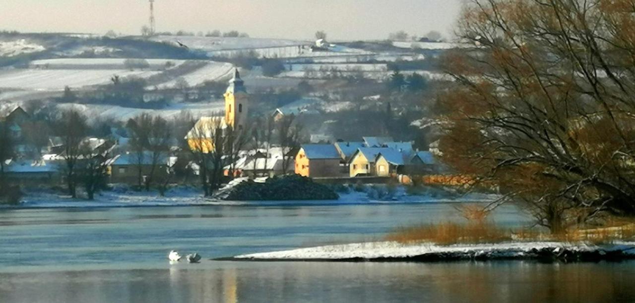 Cerevic Captain'S House By The Danube River מראה חיצוני תמונה