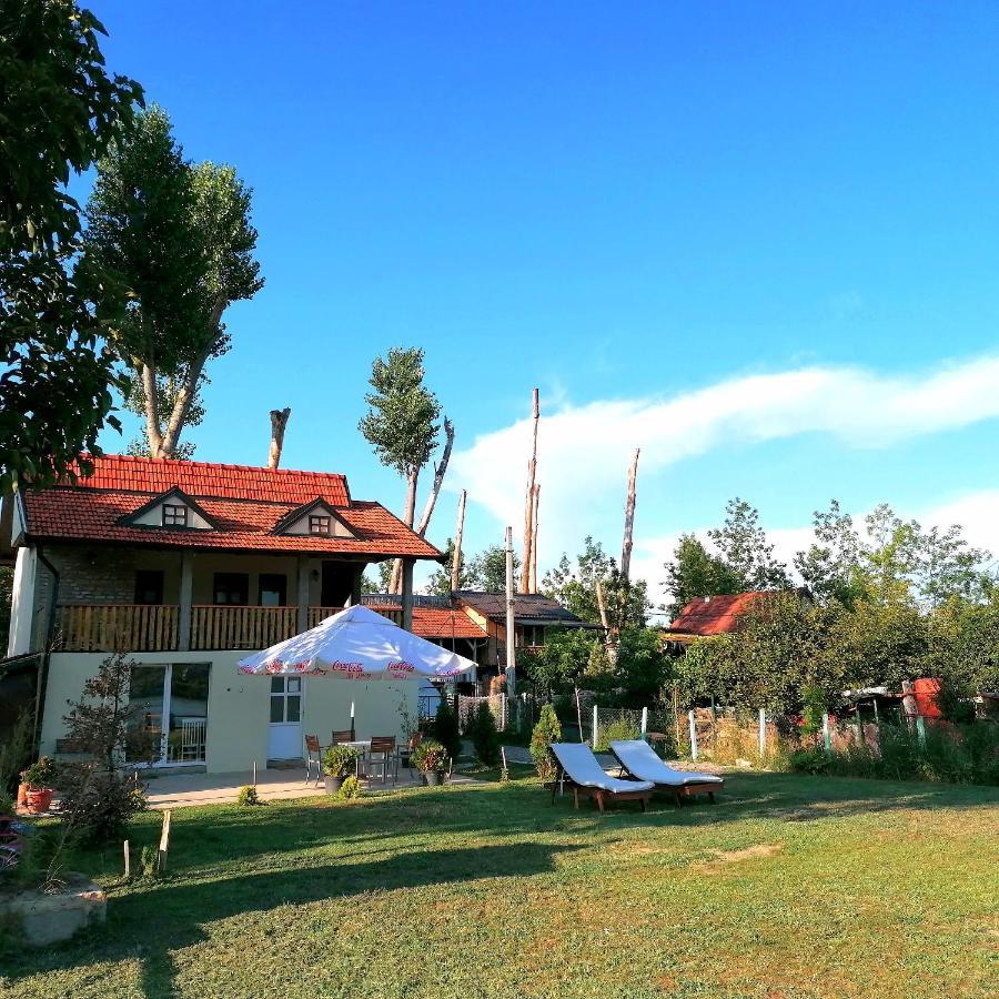 Cerevic Captain'S House By The Danube River מראה חיצוני תמונה