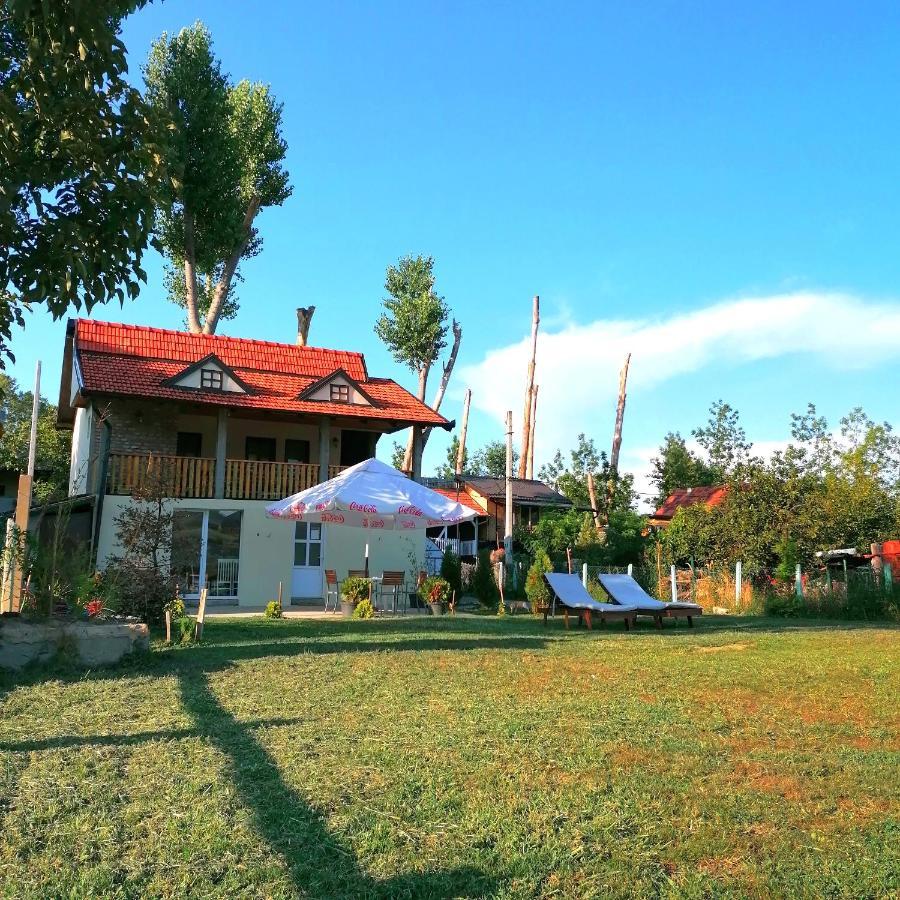 Cerevic Captain'S House By The Danube River מראה חיצוני תמונה