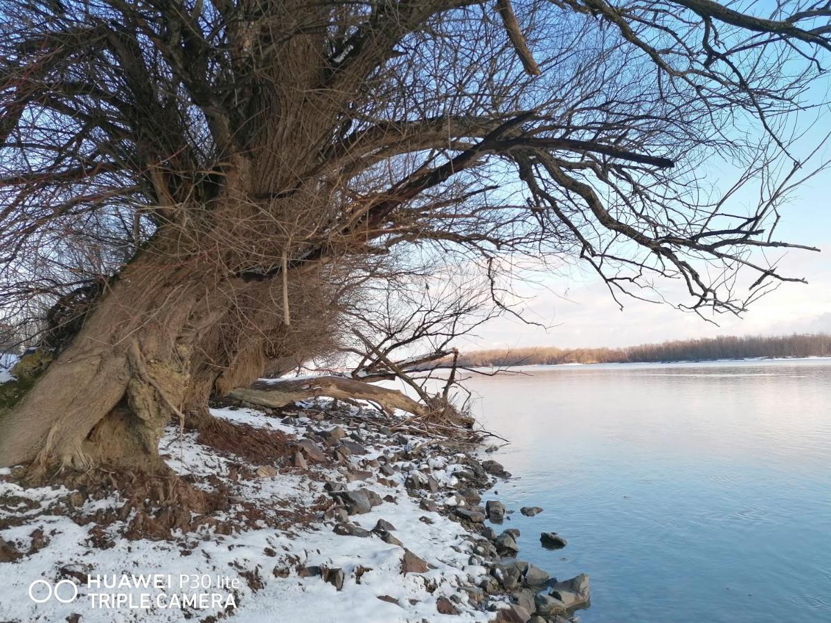 Cerevic Captain'S House By The Danube River מראה חיצוני תמונה