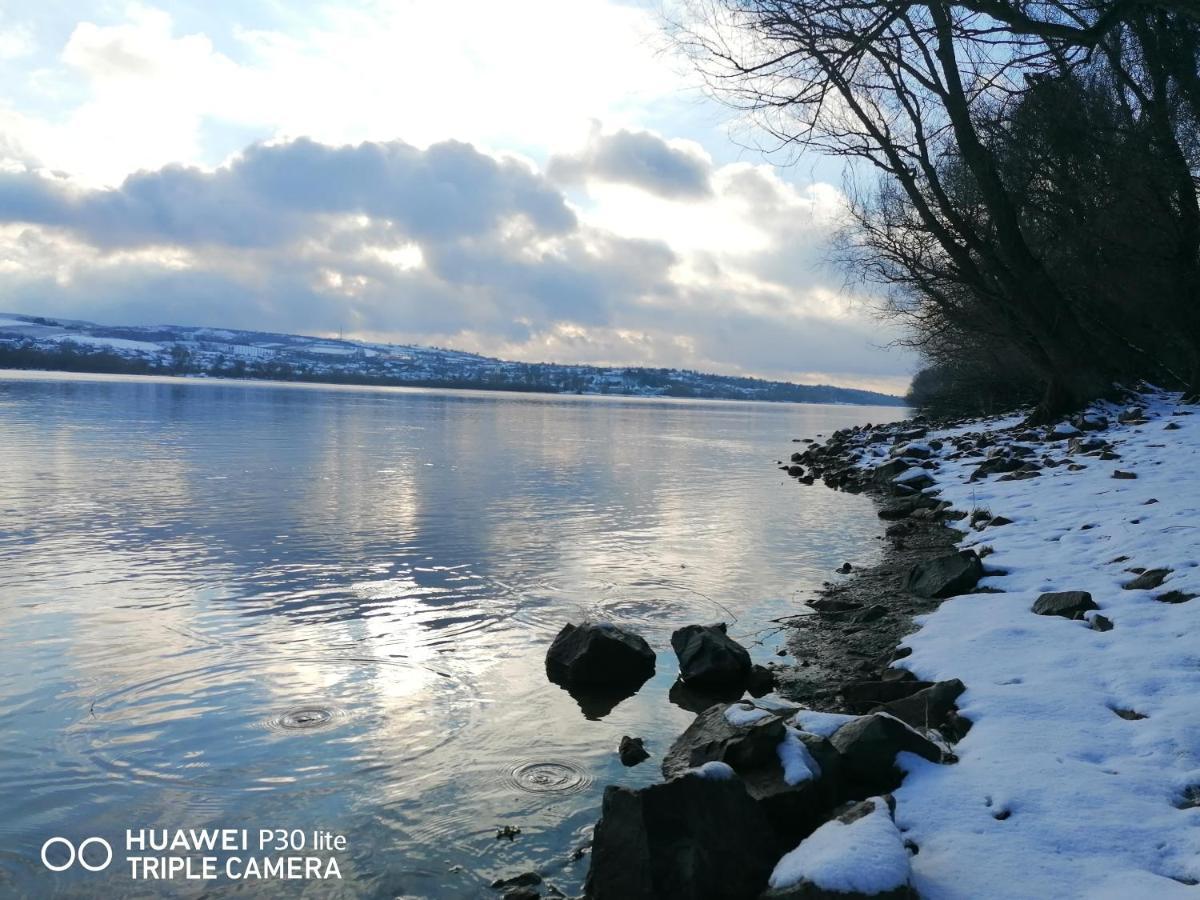 Cerevic Captain'S House By The Danube River מראה חיצוני תמונה